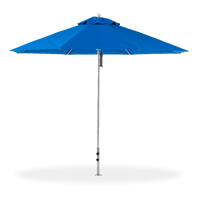 Umbrellas