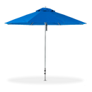 Market Umbrella