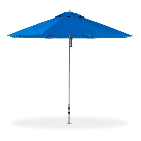 Market Umbrella